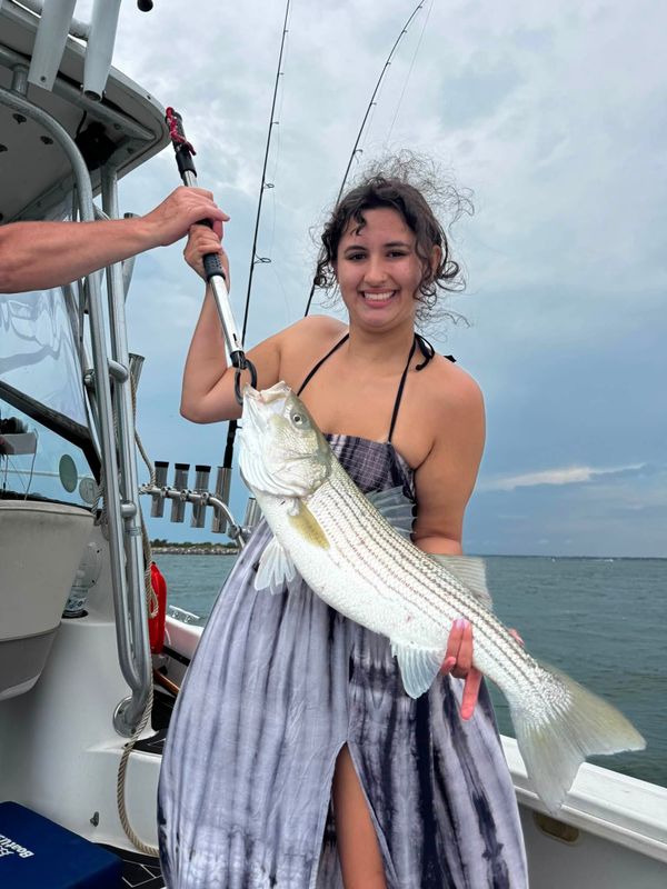 Just One Bite Charters