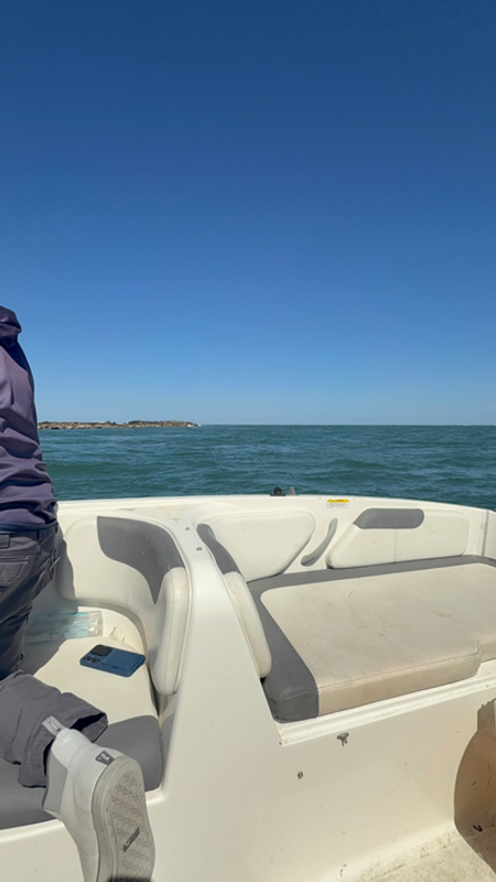 Jus Chillin Charters