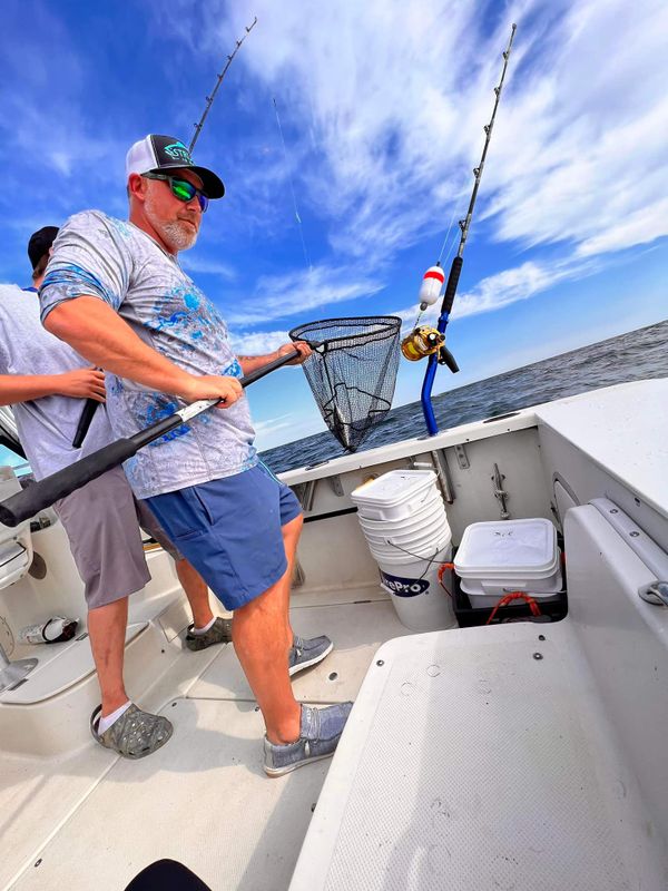 Struggle is Reel Charters