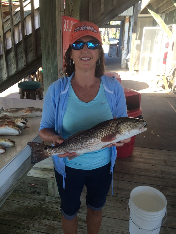 John's Guide Service