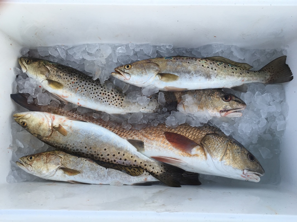 John's Guide Service