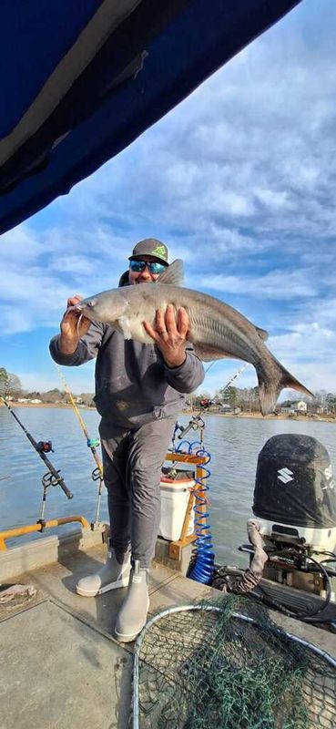 Cats on the Rock Guide Service