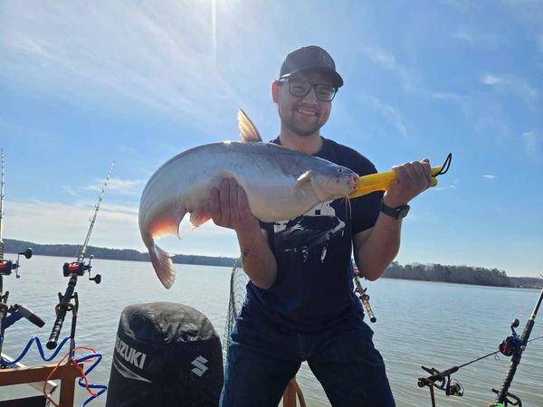 Cats on the Rock Guide Service