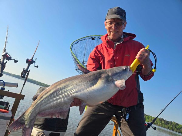 Cats on the Rock Guide Service