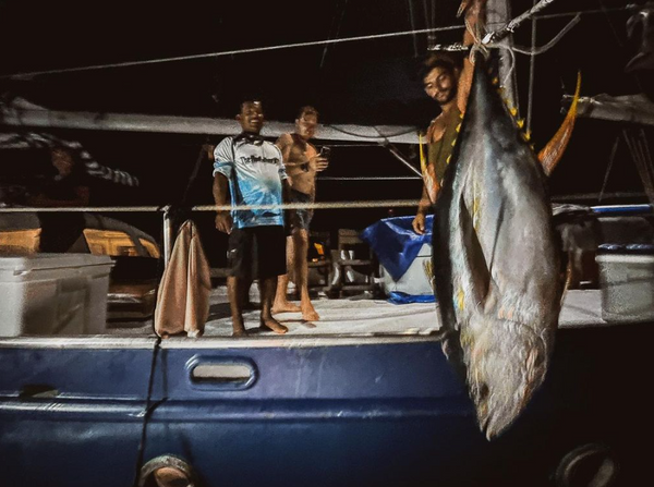 Life Below The Surface Charters