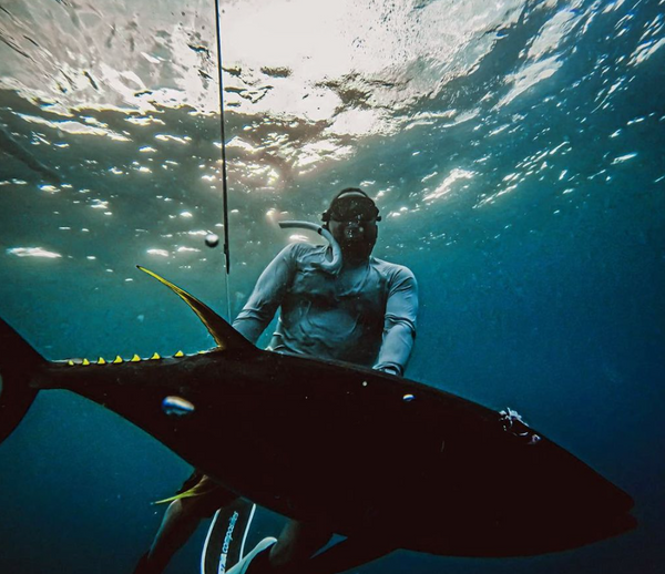 Life Below The Surface Charters