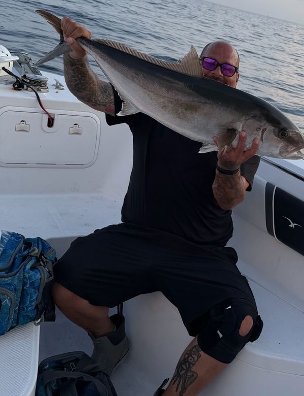 Rising Tide Fishing Charters