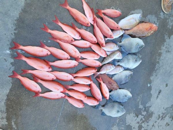 Rising Tide Fishing Charters