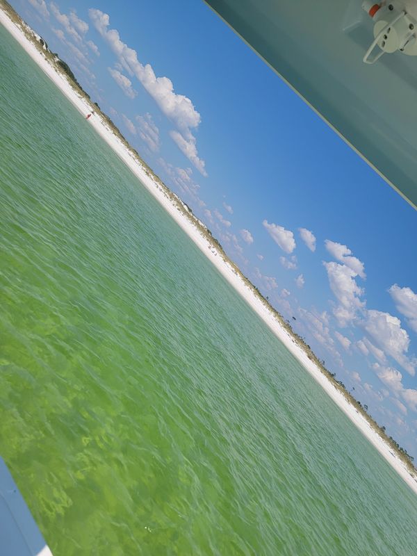 Rising Tide Fishing Charters