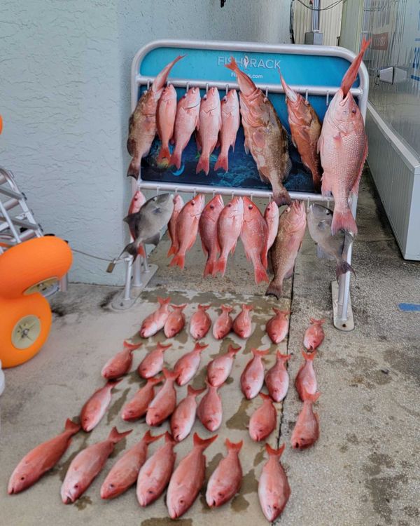 Rising Tide Fishing Charters
