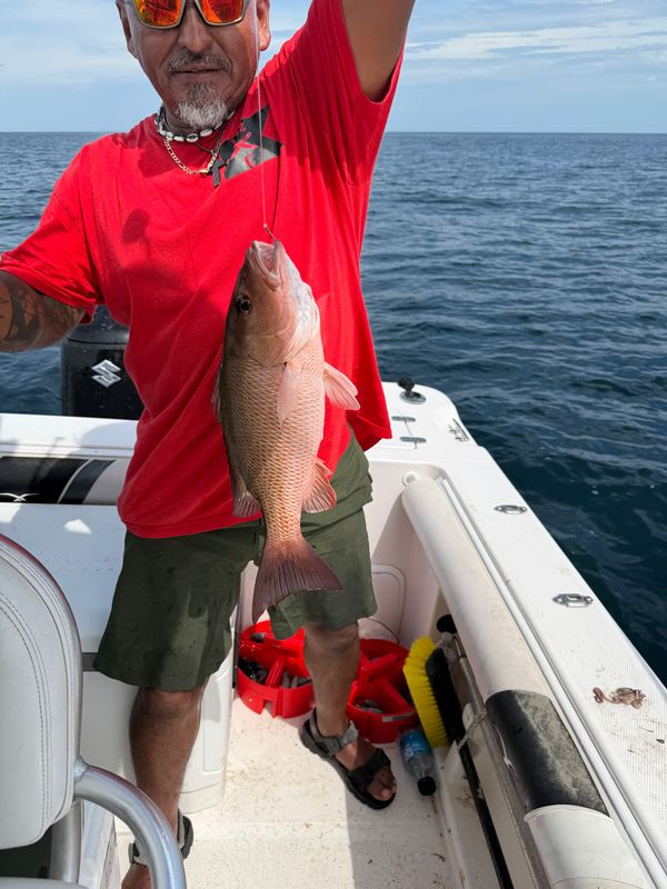 Rising Tide Fishing Charters