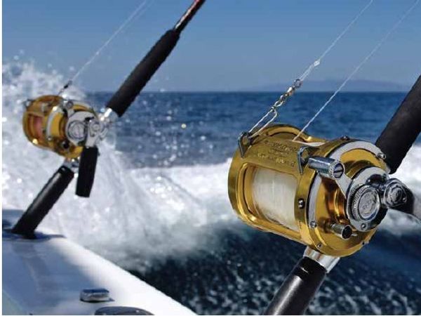Insurgent Fishing