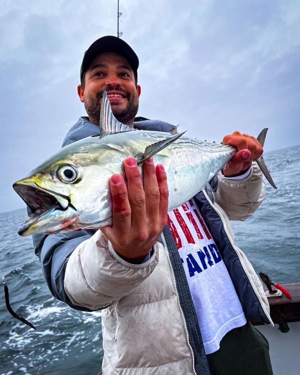 Osprey Sportfishing