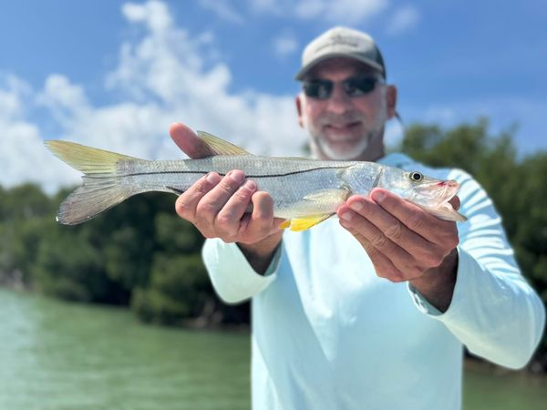 Back Bone charters