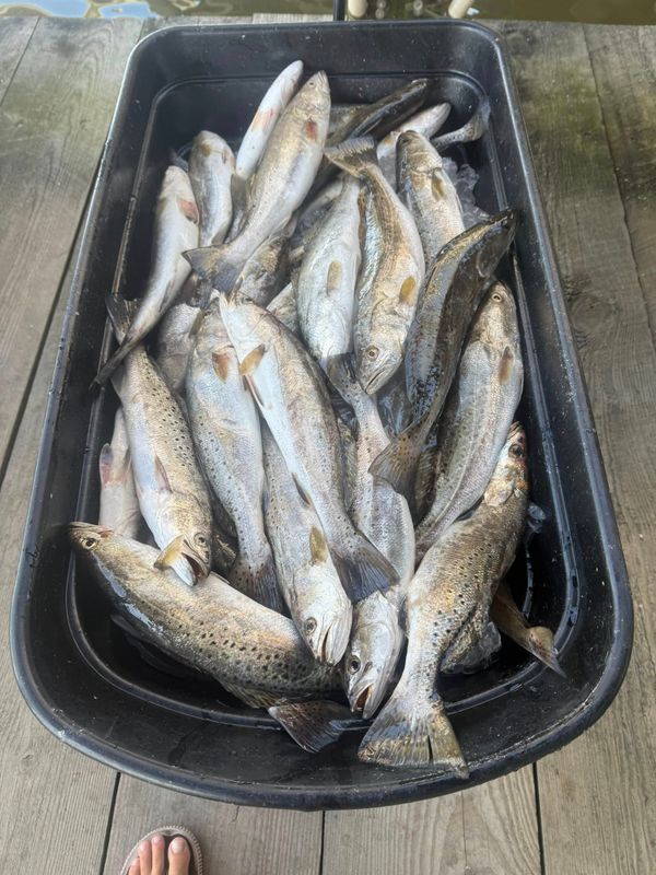 Fishtales Guide Service