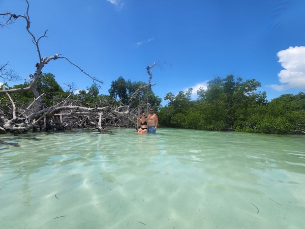 Your Island Charter 