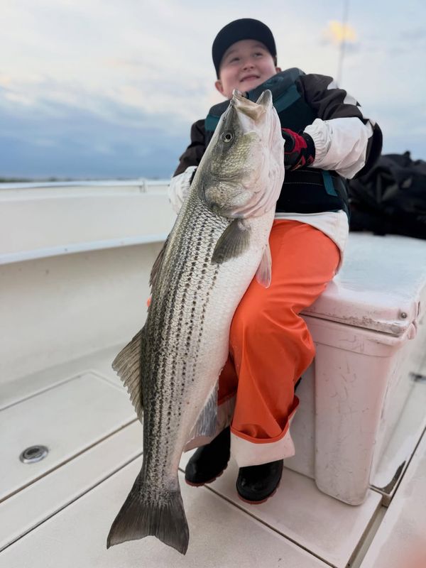 BunkerDown Charters