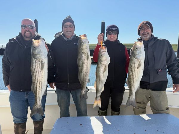 BunkerDown Charters