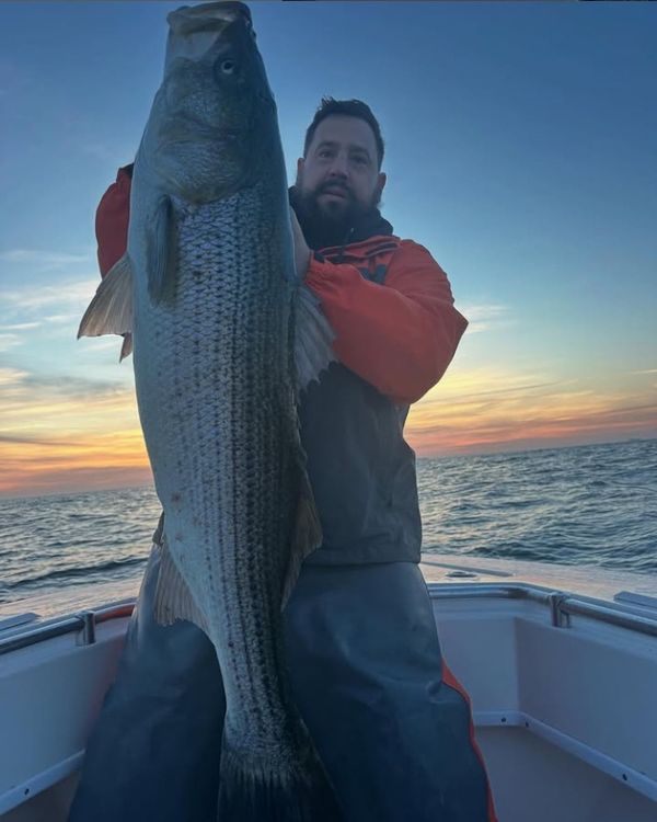 BunkerDown Charters