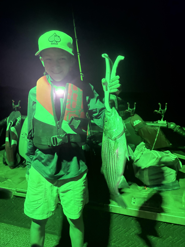 Playin Hooke Striper Services