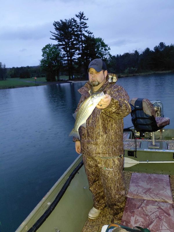 Let's Go Fishing Adventure
