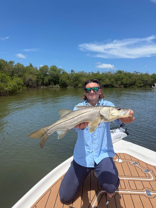 The Life Charters