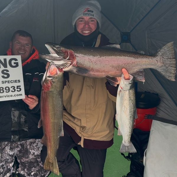 The Fisher Brad