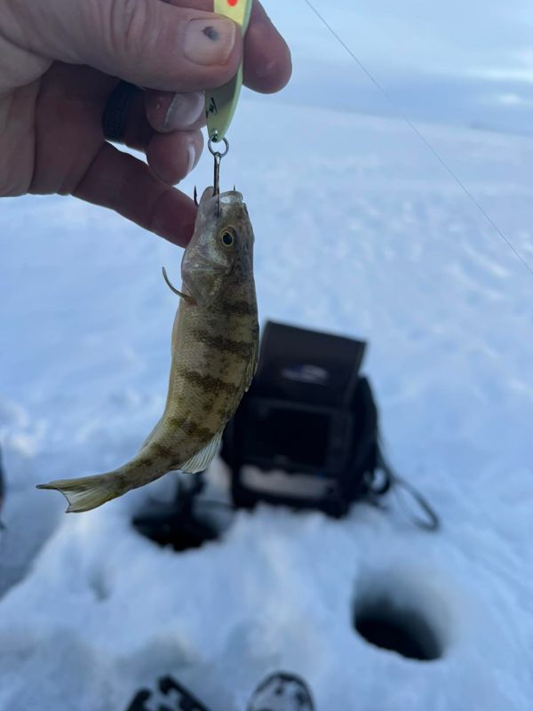 Last Mountain Angling Adventures