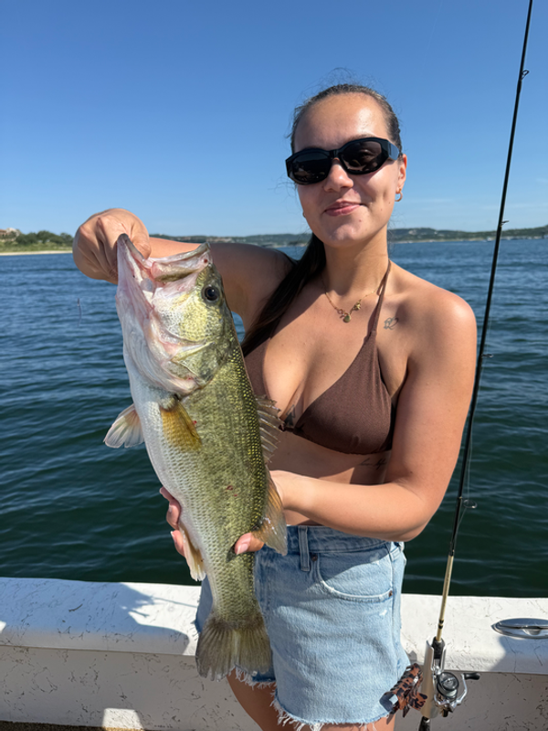 Bass Tours ATX
