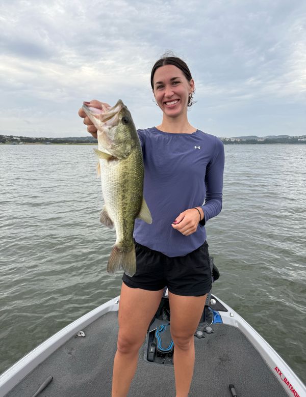 Bass Tours ATX