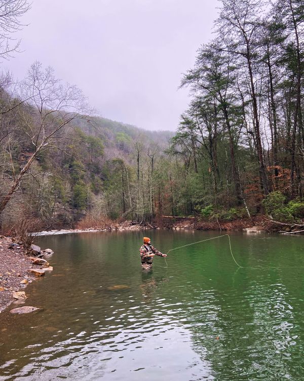 Chattanooga Fly Fish