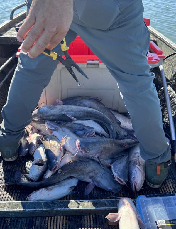 Lead Slingers Outdoor Fishing & Bowfishing Guide