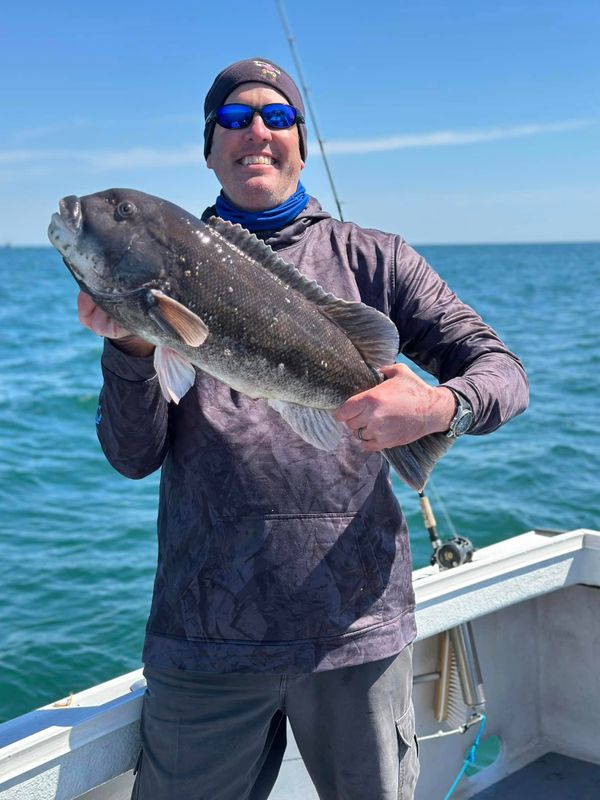 Mad Hatter Charters