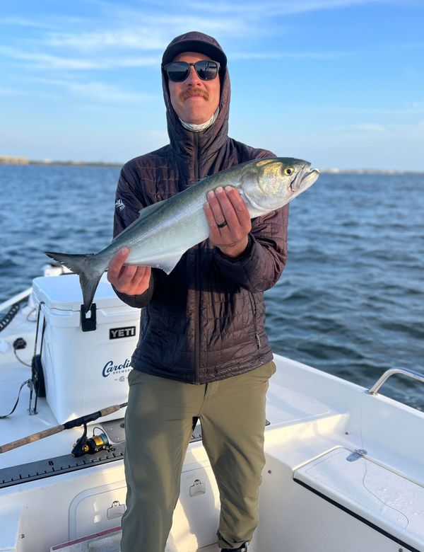 Tidal Pursuits Fishing