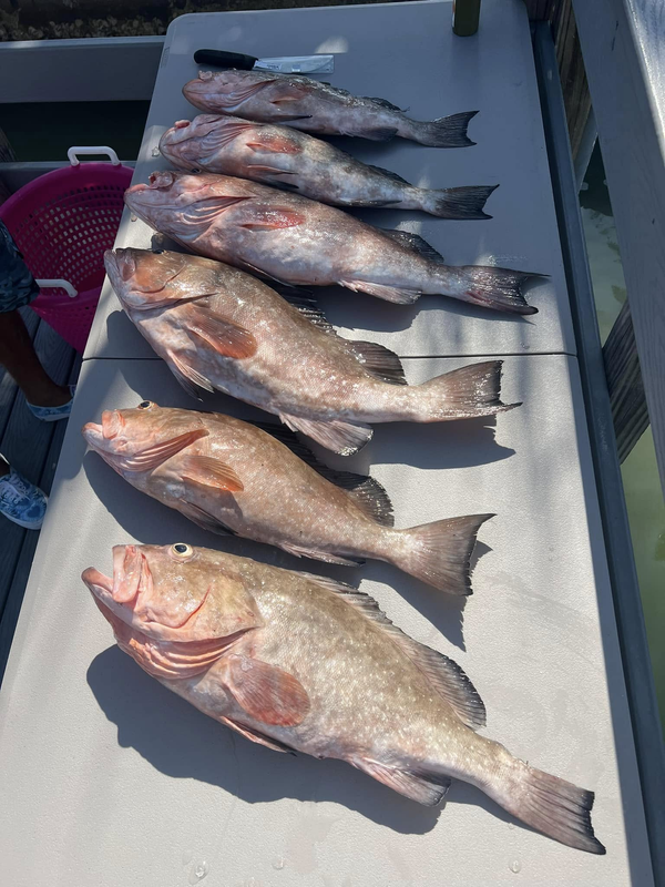 Charter Tampa Bay