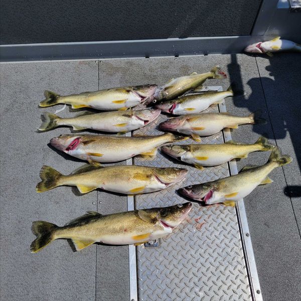 One Mohr Fishing Charters