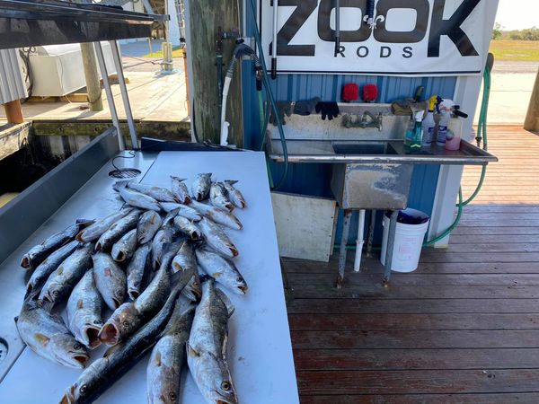 Catchdat! Charters