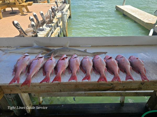 Tightlines Guide Service