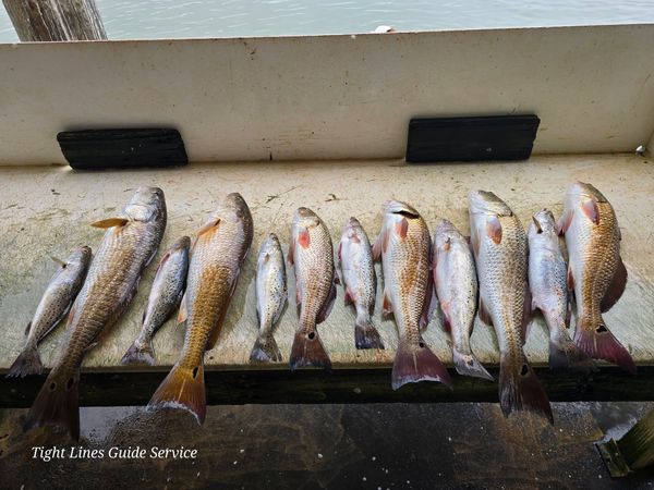 Tightlines Guide Service
