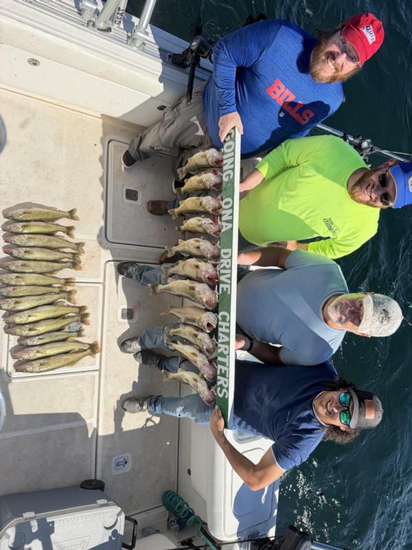 Going On Drive