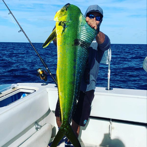 Miami Sailfish Charters