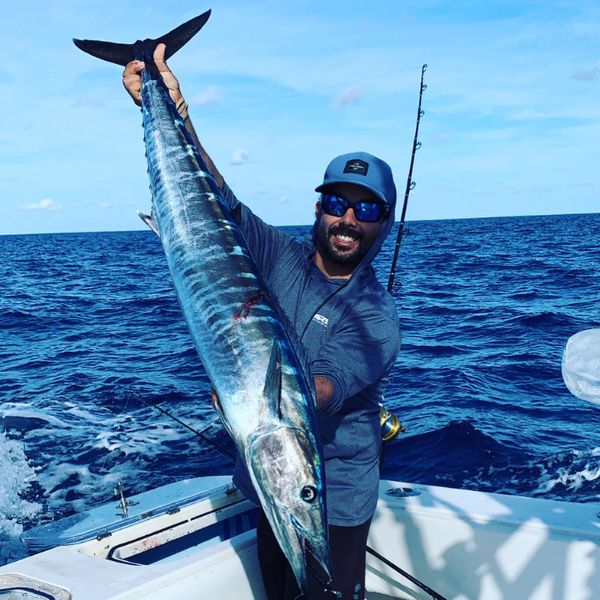 Miami Sailfish Charters