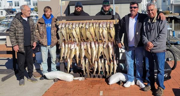Lake Erie Charter Service LLC