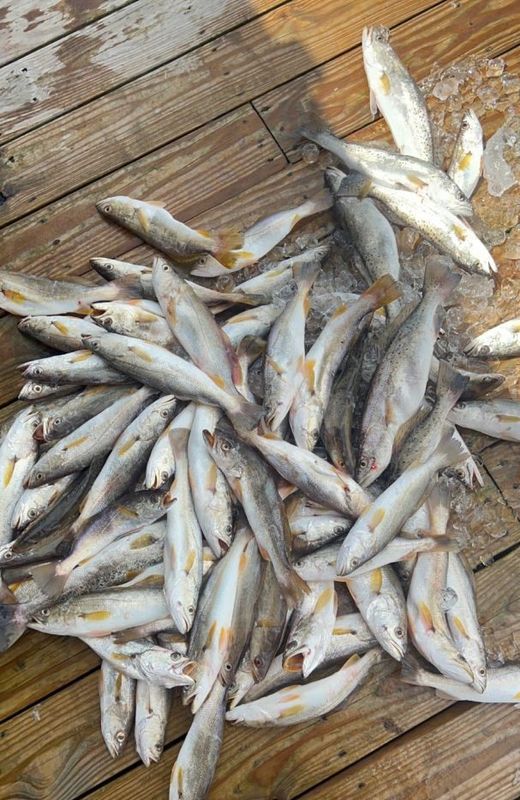 Jus 1 More Charters