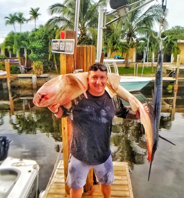 Mark the Shark's Monster Fishing Charters