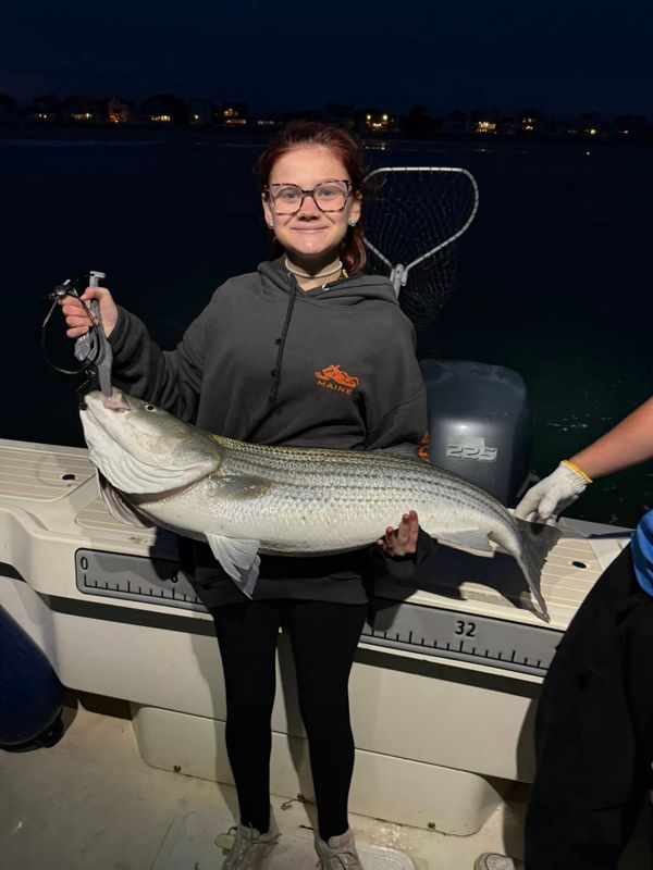 Seale Rock Fishing Charters