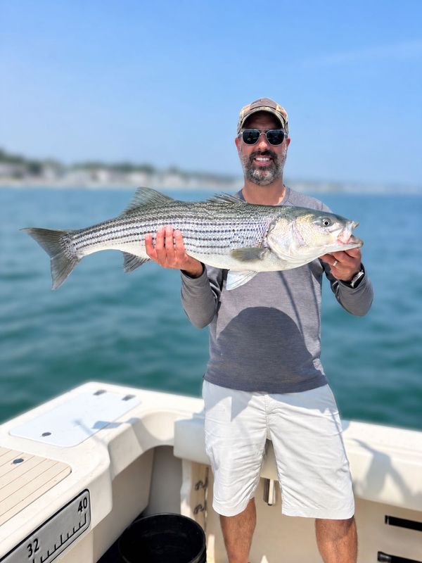 Seale Rock Fishing Charters