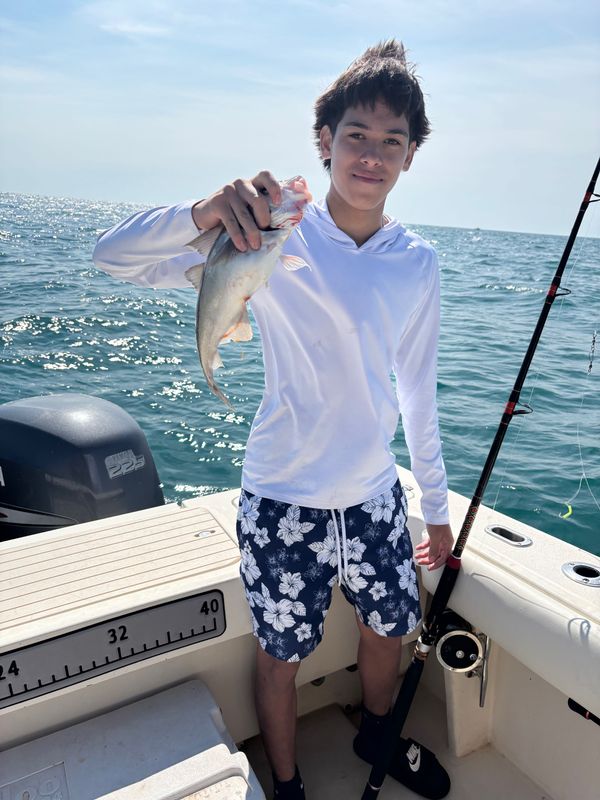 Seale Rock Fishing Charters
