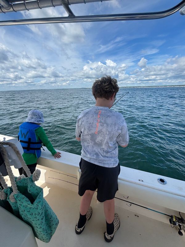 Seale Rock Fishing Charters