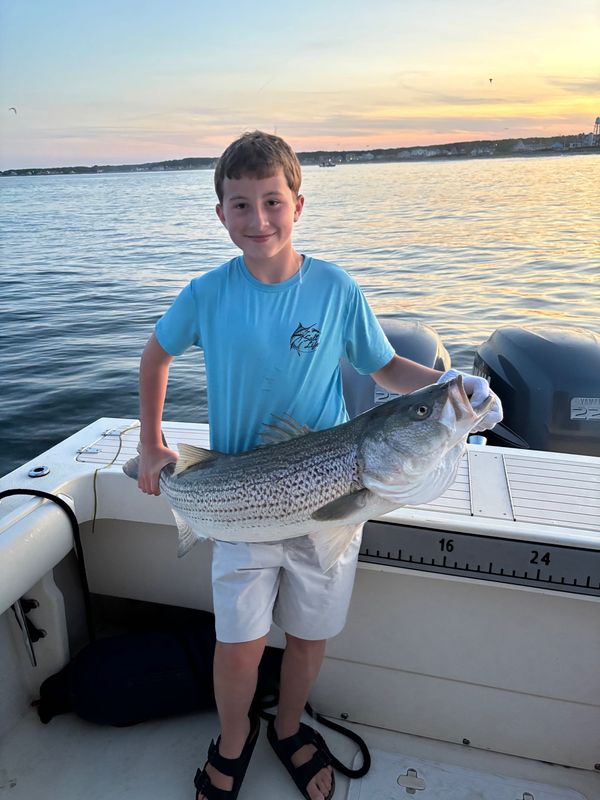 Seale Rock Fishing Charters